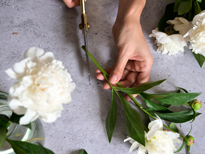 Sorting stems